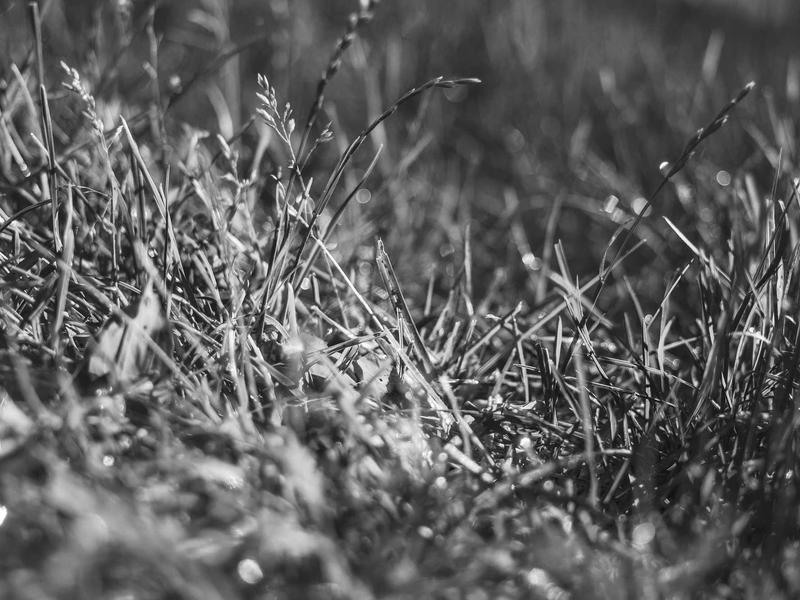 sudoku free online screenshot 1